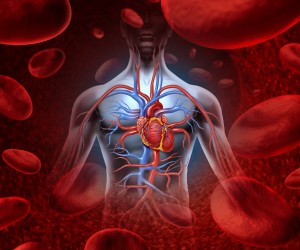 shutterstock_101194774